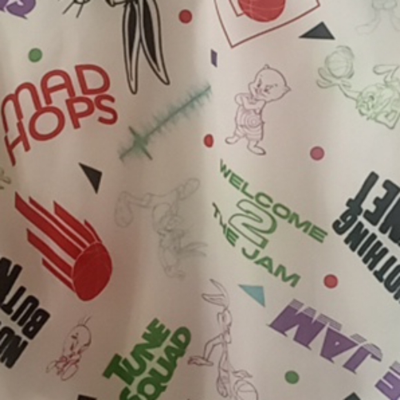 Windbreaker - Picture 4 of 11